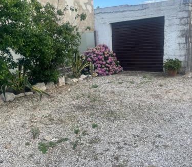 Fossacesia Apartment | Villa Baccile