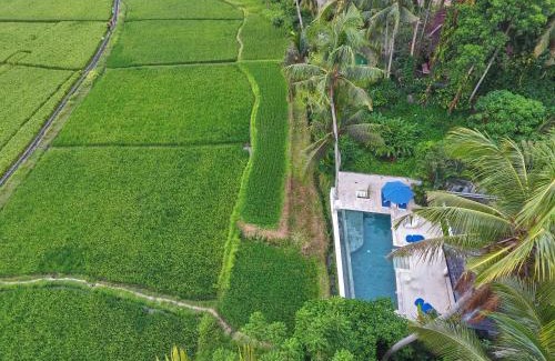 Lodtunduh Villa | Villa Balinese Luxurious Elegance