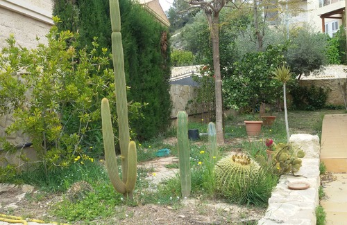 Faro de Cullera Villa | Villa beach, ideal for families.