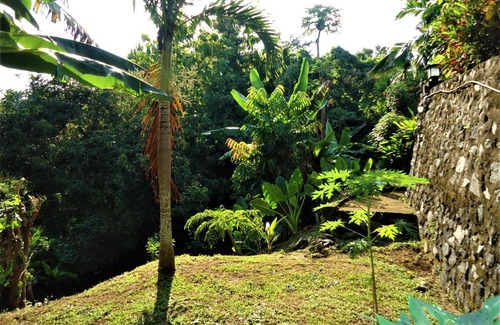 Tukad Mungga Resort | Villa Belindo