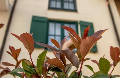 Trn Villa | Villa Blago - Villa with Swimming Pool