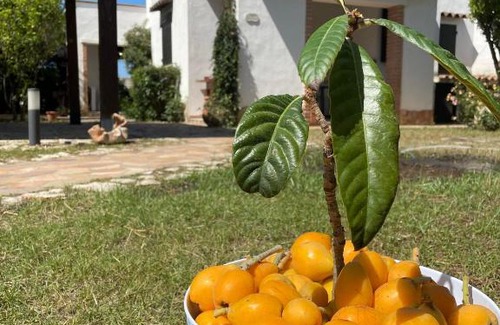 Geremeas Villa | Villa Blanca
