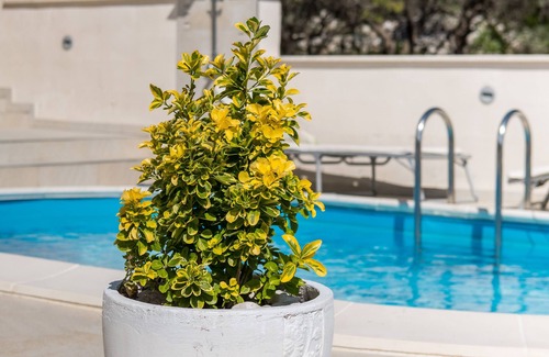 Sodici Villa | Villa Blanka
