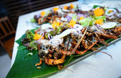 Seeduwa - Katunayake Bed & Breakfast | Villa Blue Lotus Katunayake