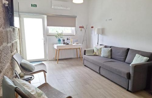 Castro Daire House | Villa Boas House