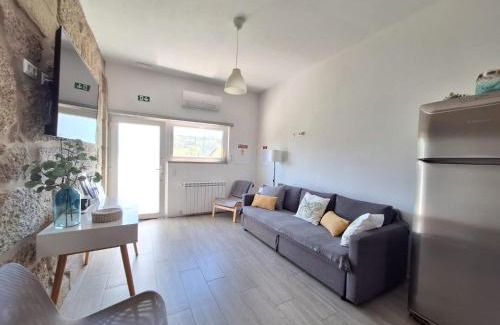 Castro Daire House | Villa Boas House