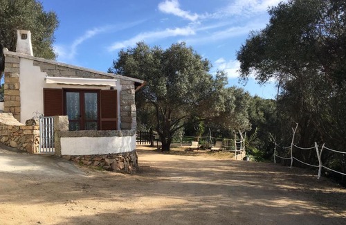 Palau House | Villa Bouganville