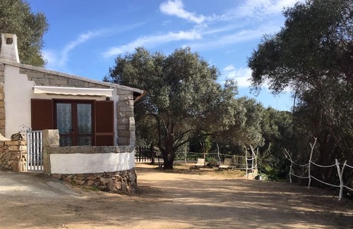 Palau House | Villa Bouganville Palau Porto Pollo Northern Sardinia in the countryside