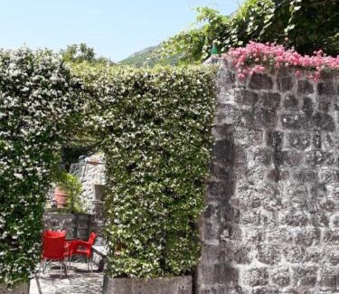 Strp House | villa branka