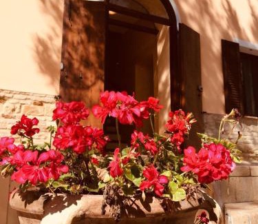 Fano House | Villa Brettino- Pesaro mare e cultura - intera struttura con piscina