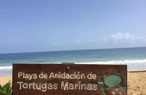 Las Terrenas Villa | Villa Buena Vista