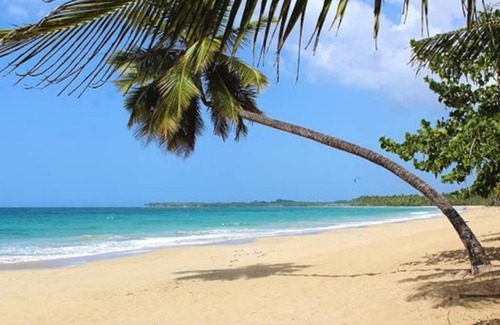 Las Terrenas Villa | Villa Buena Vista
