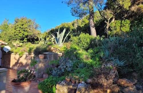 Ile du Levant House | Villa Calypso