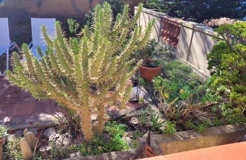 Ile du Levant House | Villa Calypso