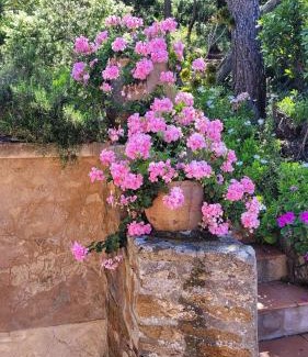 Ile du Levant House | Villa Calypso