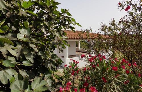 Vulcano House | Villa Capo Grillo Cottage