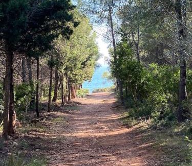 Alcossebre House | VILLA CARMEN