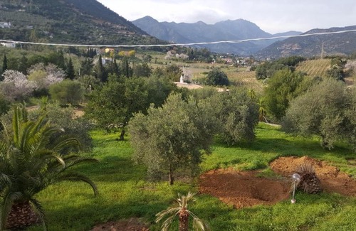 Jerzu Apartment | Villa Carmen