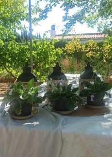 Argamasilla de Alba Villa | Villa Castellanos