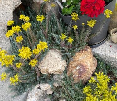 Marchenoir Bed & Breakfast | Villa Christine Chambre Rose