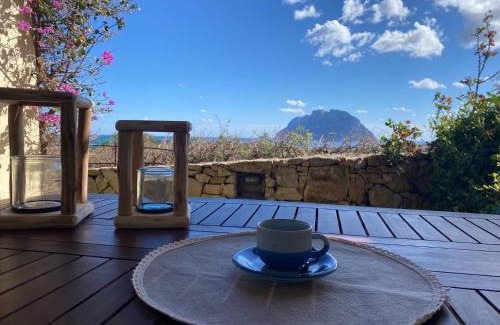 Porto San Paolo Villa | Villa con vista Porto San Paolo