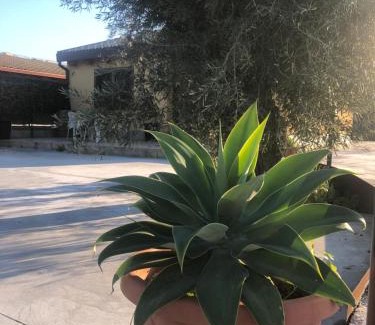 Syracuse House | Villa Corradina