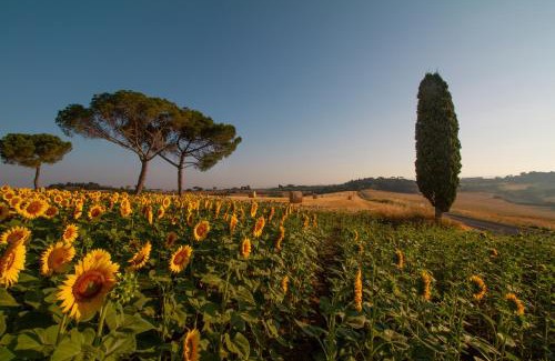 Castiglione del Lago House | Villa Cozzano