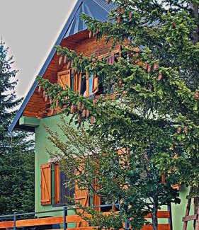 Razvrsje Villa | Villa Dandelion