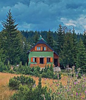Razvrsje Villa | Villa Dandelion