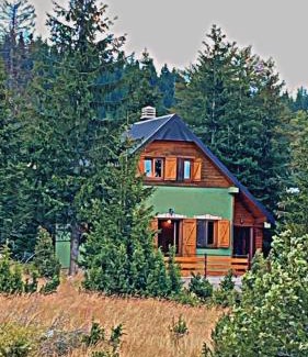 Razvrsje Villa | Villa Dandelion