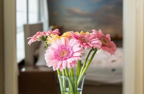 Eeklo Bed & Breakfast | Villa De Keyser