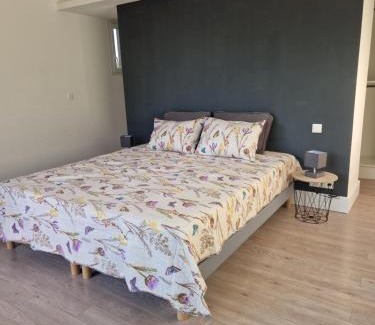 Serviers-et-Labaume Villa | Villa de luxe aux portes d'Uzès
