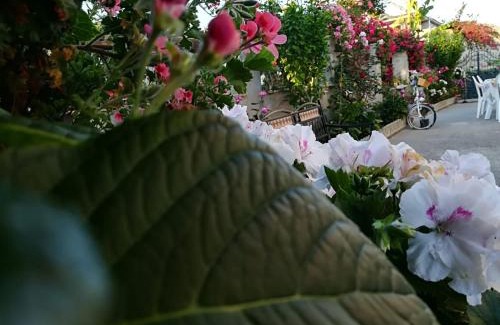 Bova Marina Bed & Breakfast | Villa delle rose