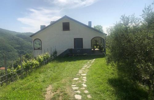 Mezzanego House | Villa ELENA