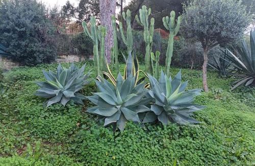 Pinos de Alhaurin Villa | Villa Ellen Maria
