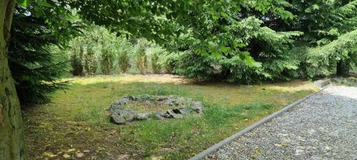 Myslakowice Apartment | Villa Fantastica Apartments