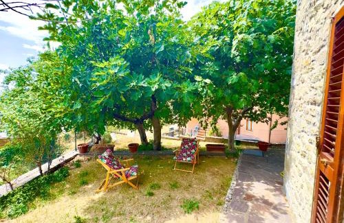 Chitignano Villa | Villa Fiorita tra le Colline del Casentino