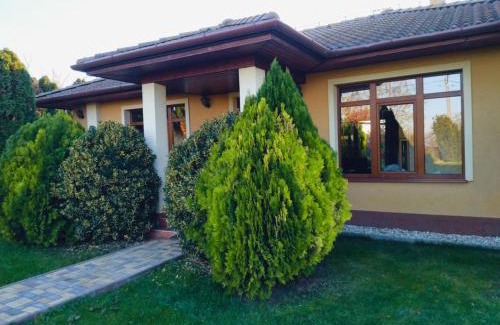 Kostolne Kracany Villa | Villa Flower Deluxe
