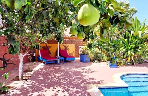 La Somone Villa | Villa Frangipane