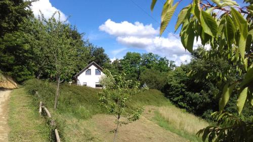 Rogaska Slatina Villa | Villa FRIDA