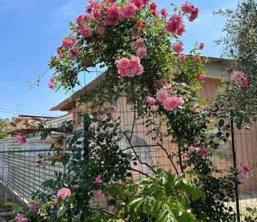 Pefki Apartment | Villa Froso