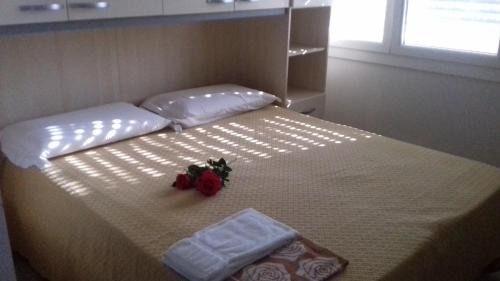 Carpi Apartment | Villa Glori affitto camere monolocali