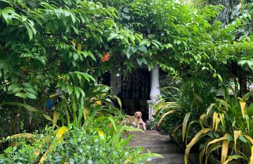 Udugampola House | Villa Green