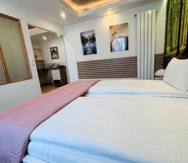 Tirgu Mures House | Villa Helvetia