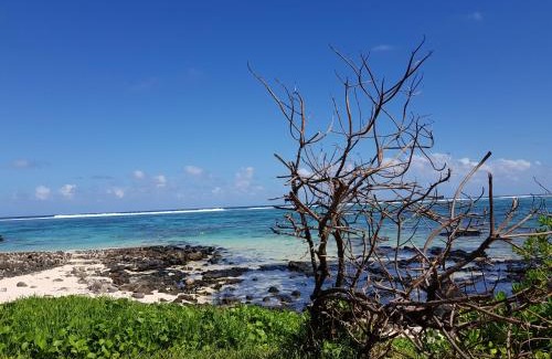 Blue Bay Villa | Villa Hibiscus