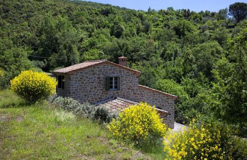 San Pietro a Cegliolo Villa | Villa Il Sole