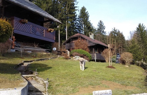 Mozirje Villa | Villa in Nature