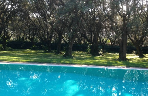 Querceta Apartment | VILLA IN TUSCANY BETWEEN SEA, MOUNTAINS, AND ART
