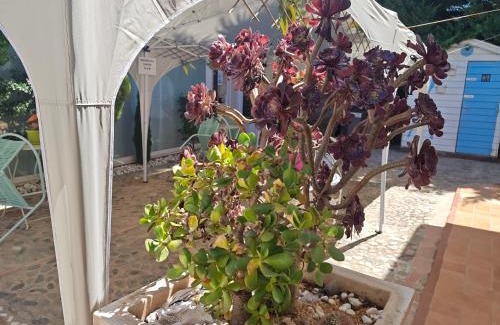 Crotone Bed & Breakfast | Villa Irma guest house