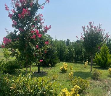Kachreti Villa | Villa, Kachreti Ambassador Golf Resort